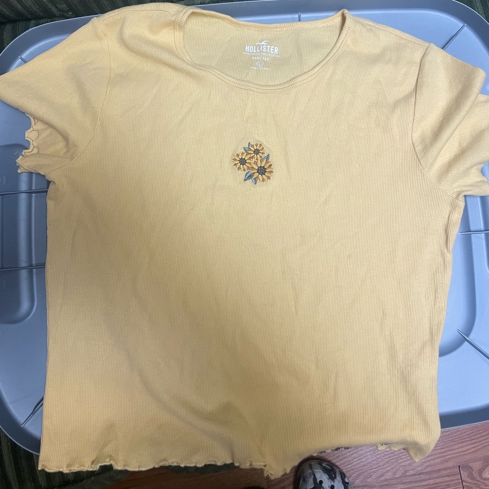 Hollister crop top